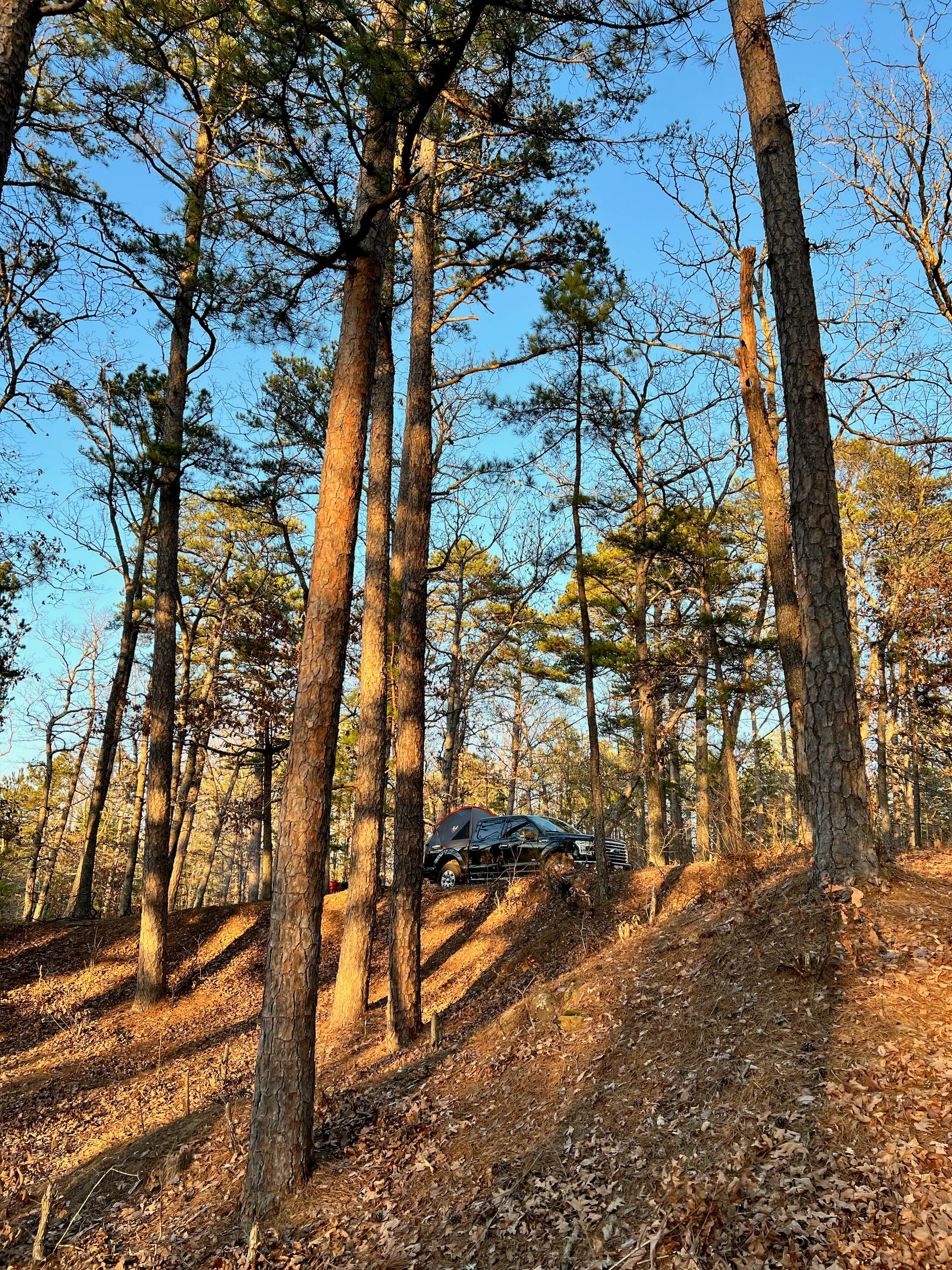 Camper-submitted photo at Little Scotia Pond 4x4 Dispersed Site near Hartshorn, MO