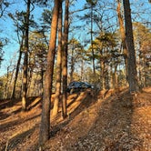 Review photo of Little Scotia Pond 4x4 Dispersed Site by Malik H., March 7, 2024