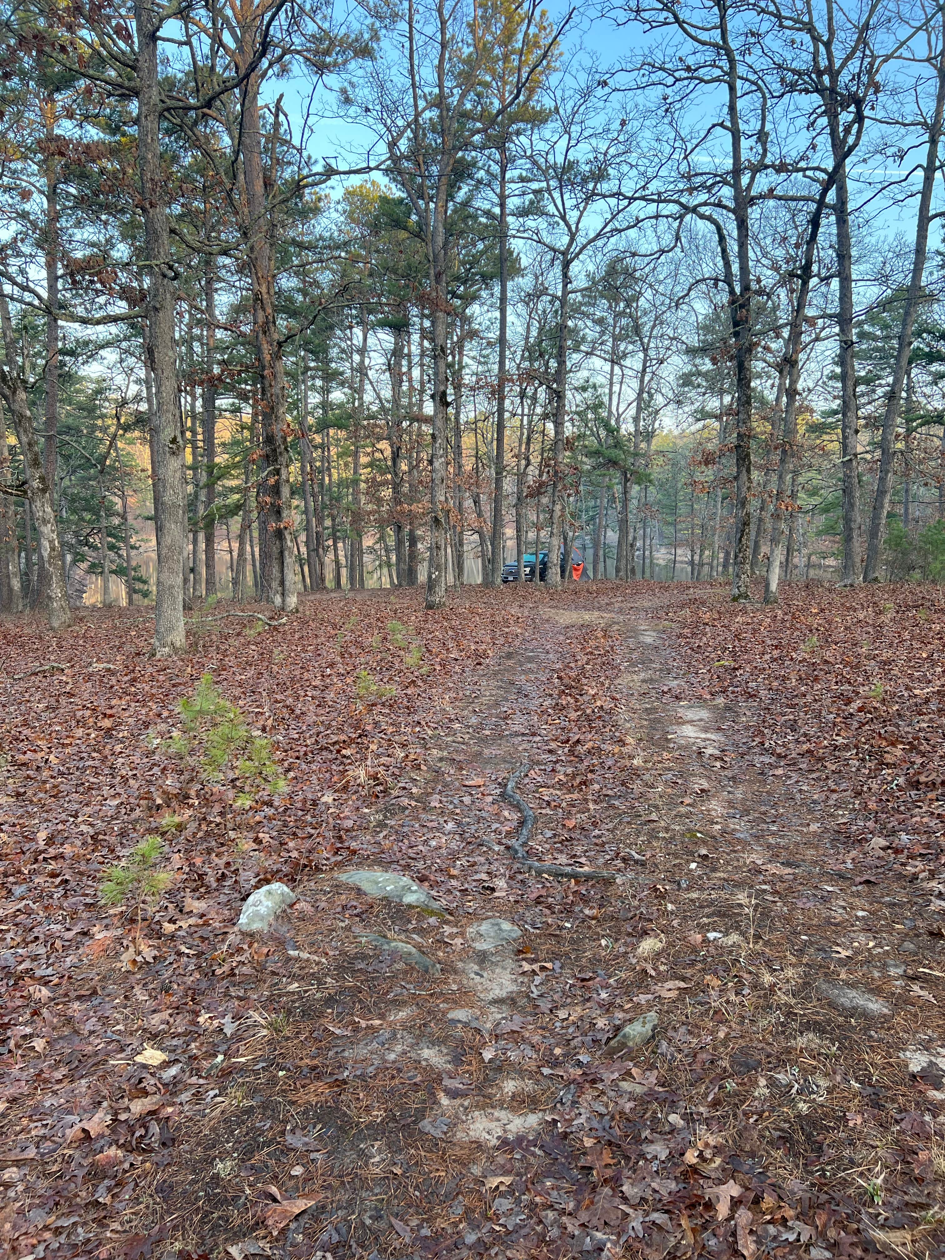 Camper-submitted photo at Little Scotia Pond 4x4 Dispersed Site near Hartshorn, MO