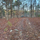 Review photo of Little Scotia Pond 4x4 Dispersed Site by Malik H., March 7, 2024
