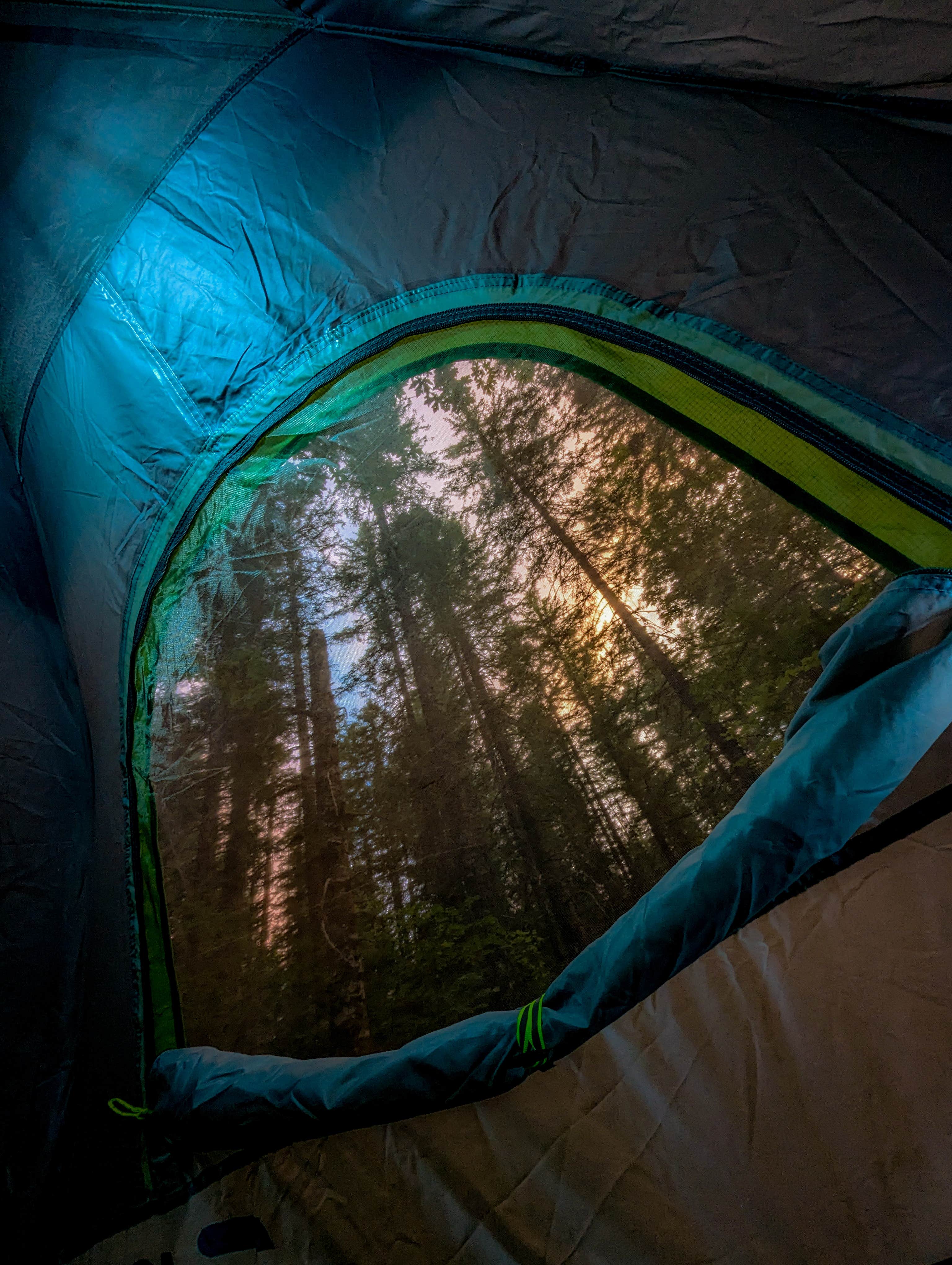 Camper-submitted photo at Little Soda Springs Rd Dispersed near Yacolt, WA