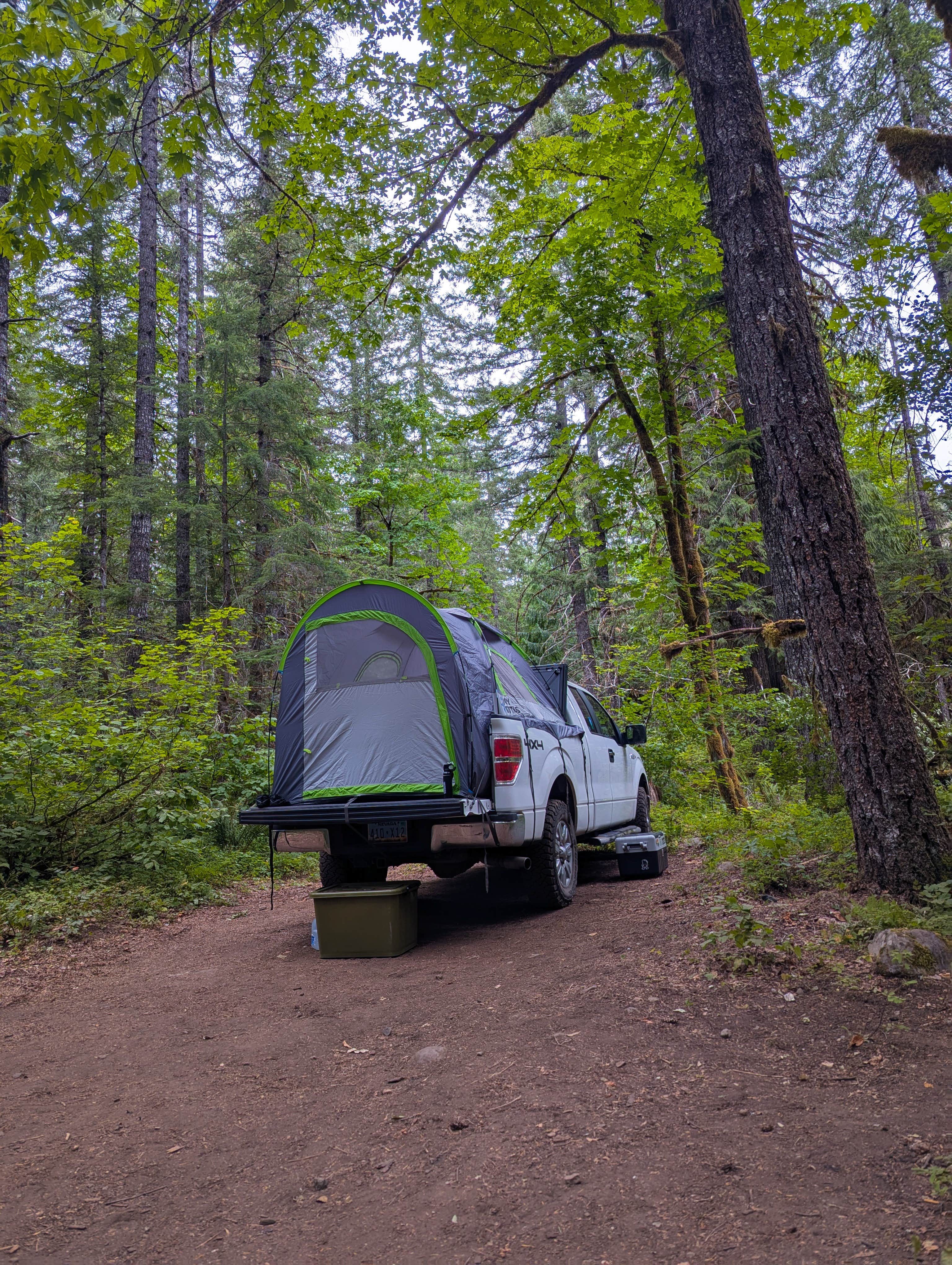 Camper-submitted photo at Little Soda Springs Rd Dispersed near Yacolt, WA