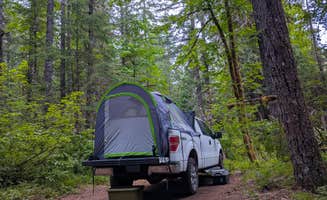 Vanessa T.'s photo at Little Soda Springs Rd Dispersed in Washington