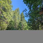 Review photo of Little Soda Springs Rd Dispersed by Vanessa T., June 11, 2025