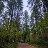 Review photo of Little Soda Springs Rd Dispersed by Vanessa T., July 24, 2025