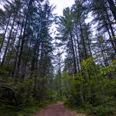 Review photo of Little Soda Springs Rd Dispersed by Vanessa T., July 24, 2025