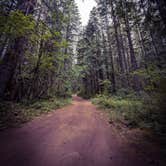 Review photo of Little Soda Springs Rd Dispersed by Vanessa T., July 24, 2025