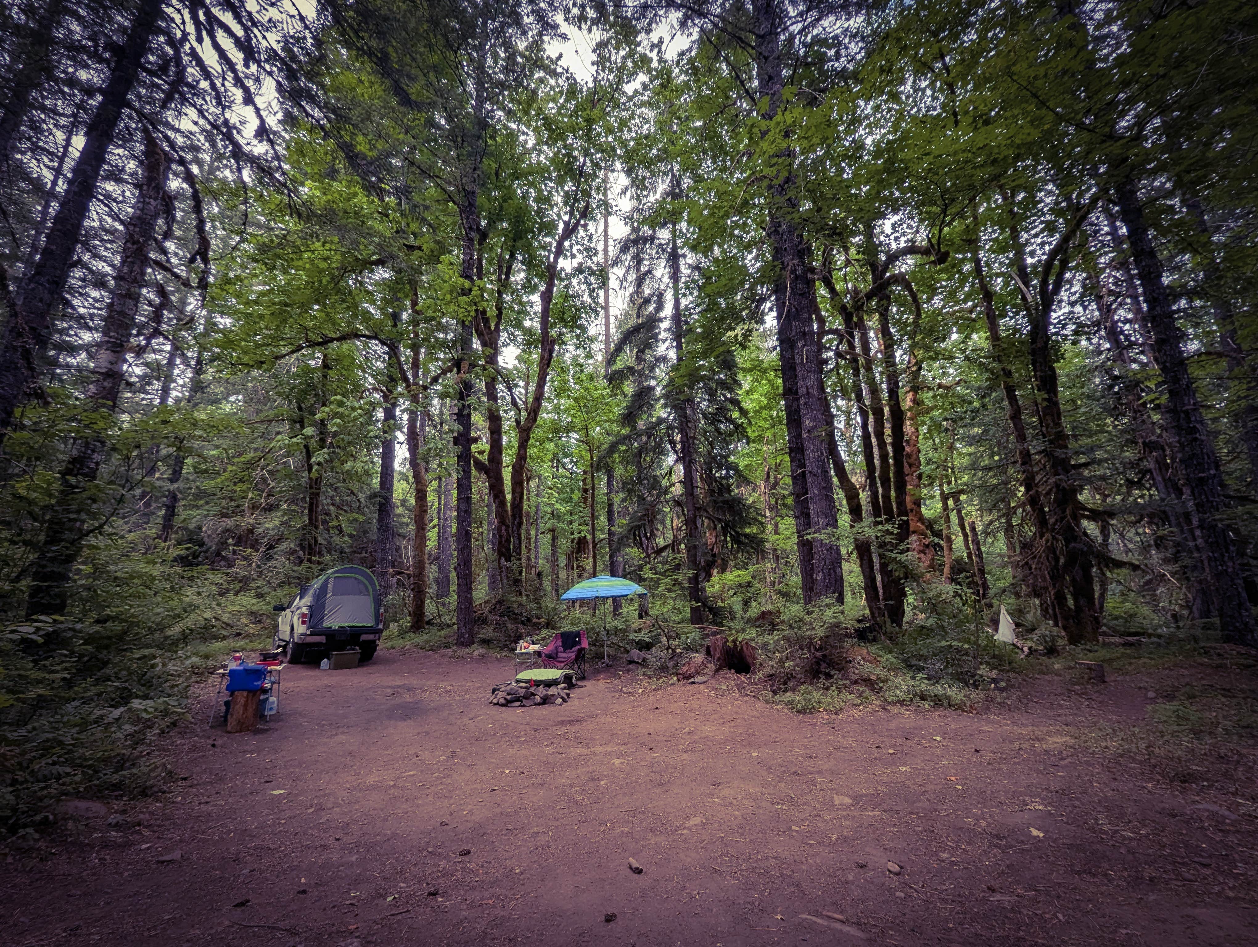 Camper-submitted photo at Little Soda Springs Rd Dispersed near Yacolt, WA
