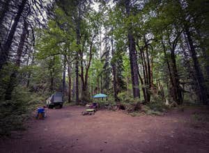 Little Soda Springs Rd Dispersed