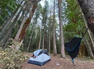 Little Soda Springs Rd Dispersed