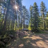 Review photo of Little Soda Springs Rd Dispersed by Vanessa T., June 11, 2025