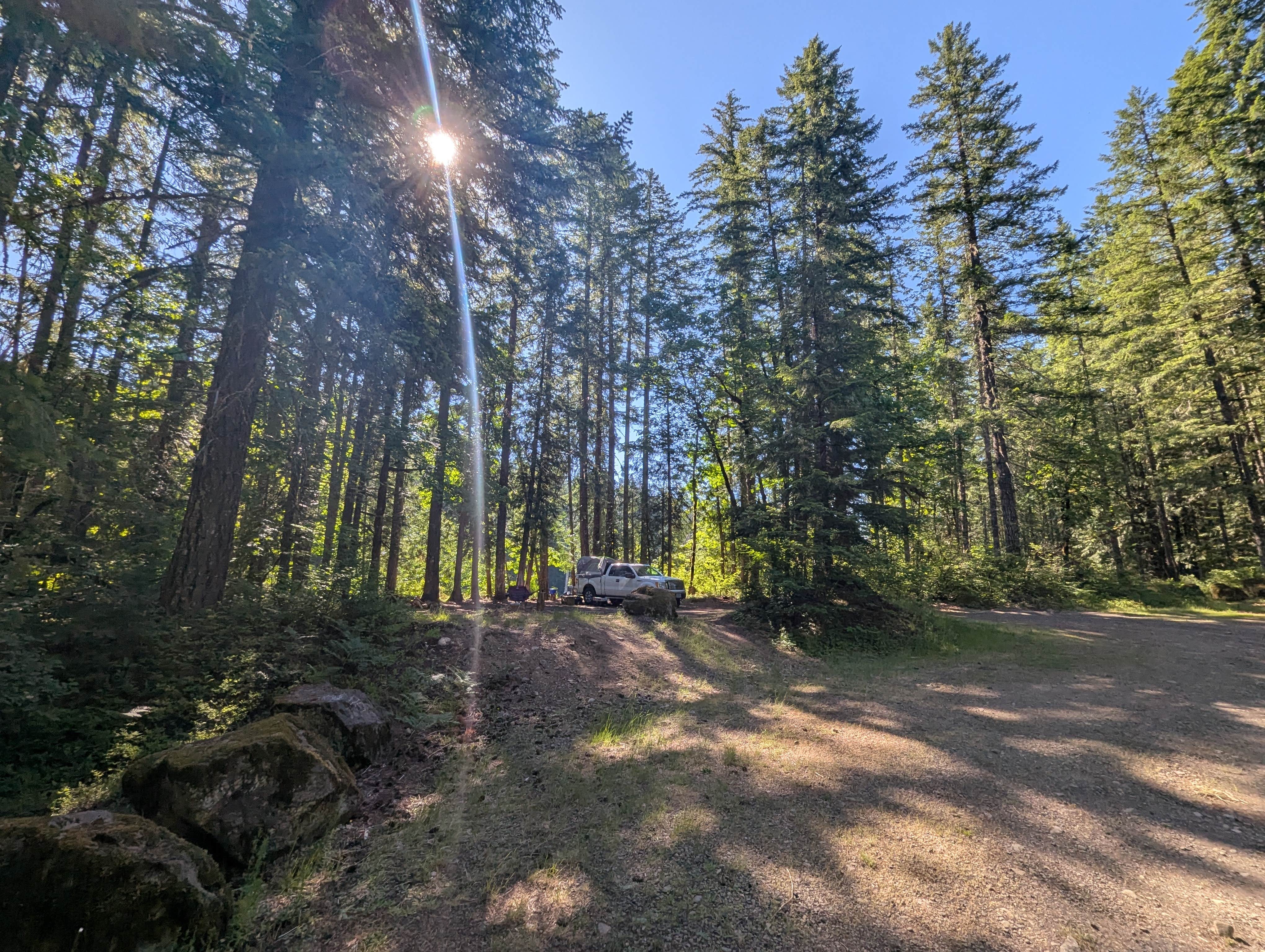 Camper submitted image from Little Soda Springs Rd Dispersed - 4