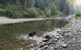 clint B.'s photo of camping with pets at Little Soda Springs Rd Dispersed near Cougar, WA