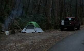 Brendan G.'s photo of tent camping at Little Stony Creek Road Dispersed Area near Milligan College, TN