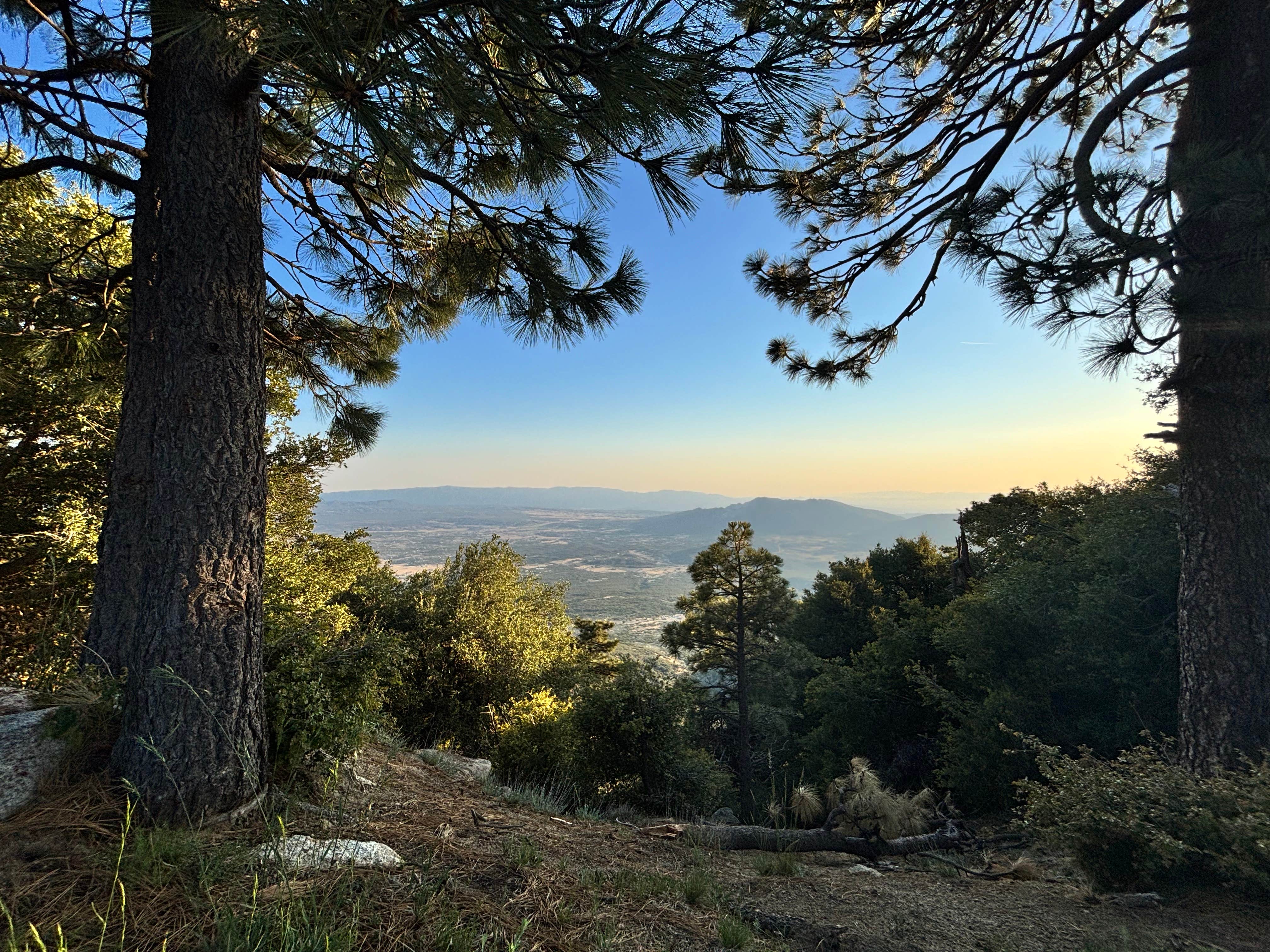 Camper-submitted photo at Little Thomas Dispersed near Pauma Valley, CA