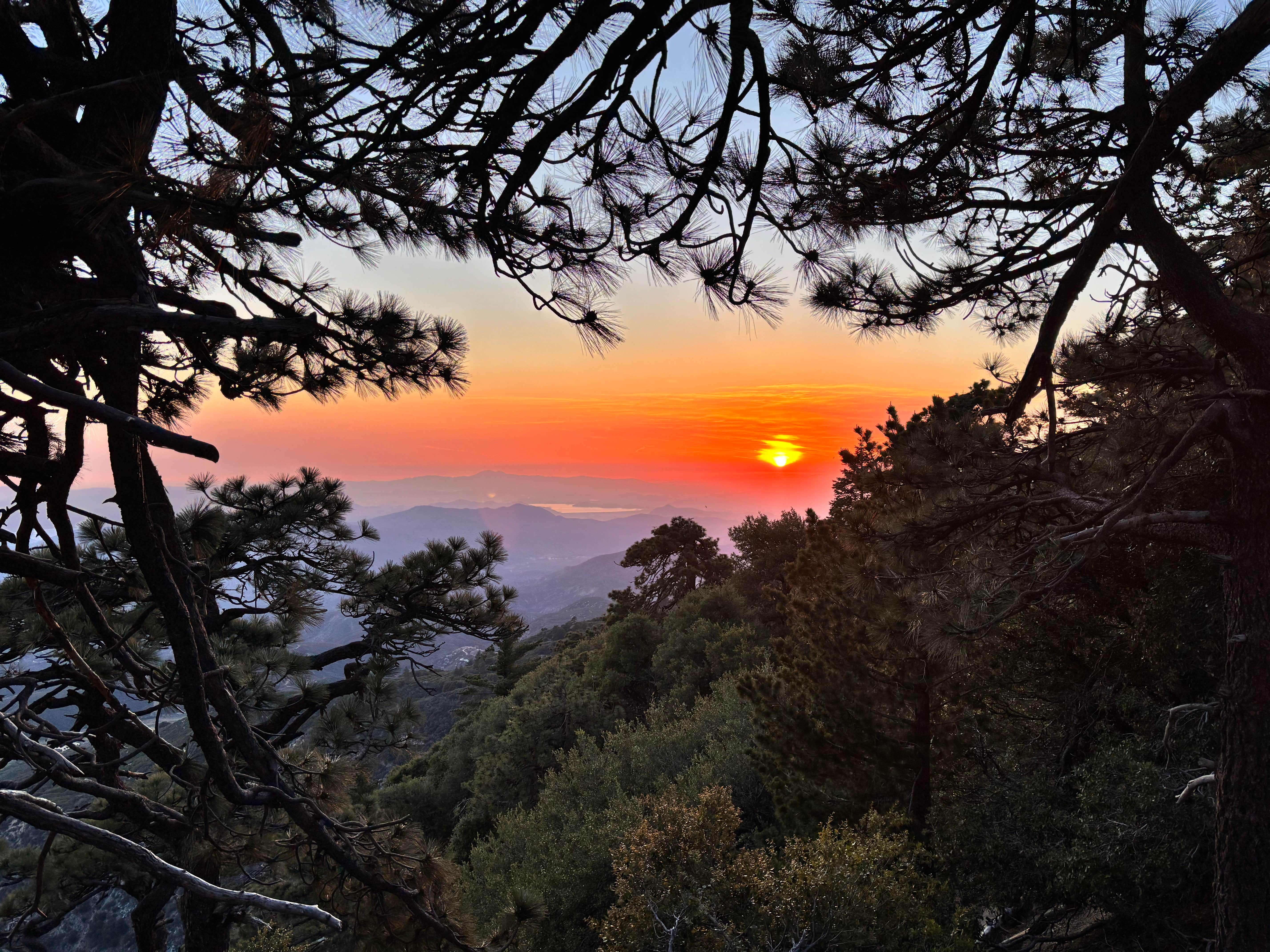 Camper-submitted photo at Little Thomas Dispersed near Pauma Valley, CA
