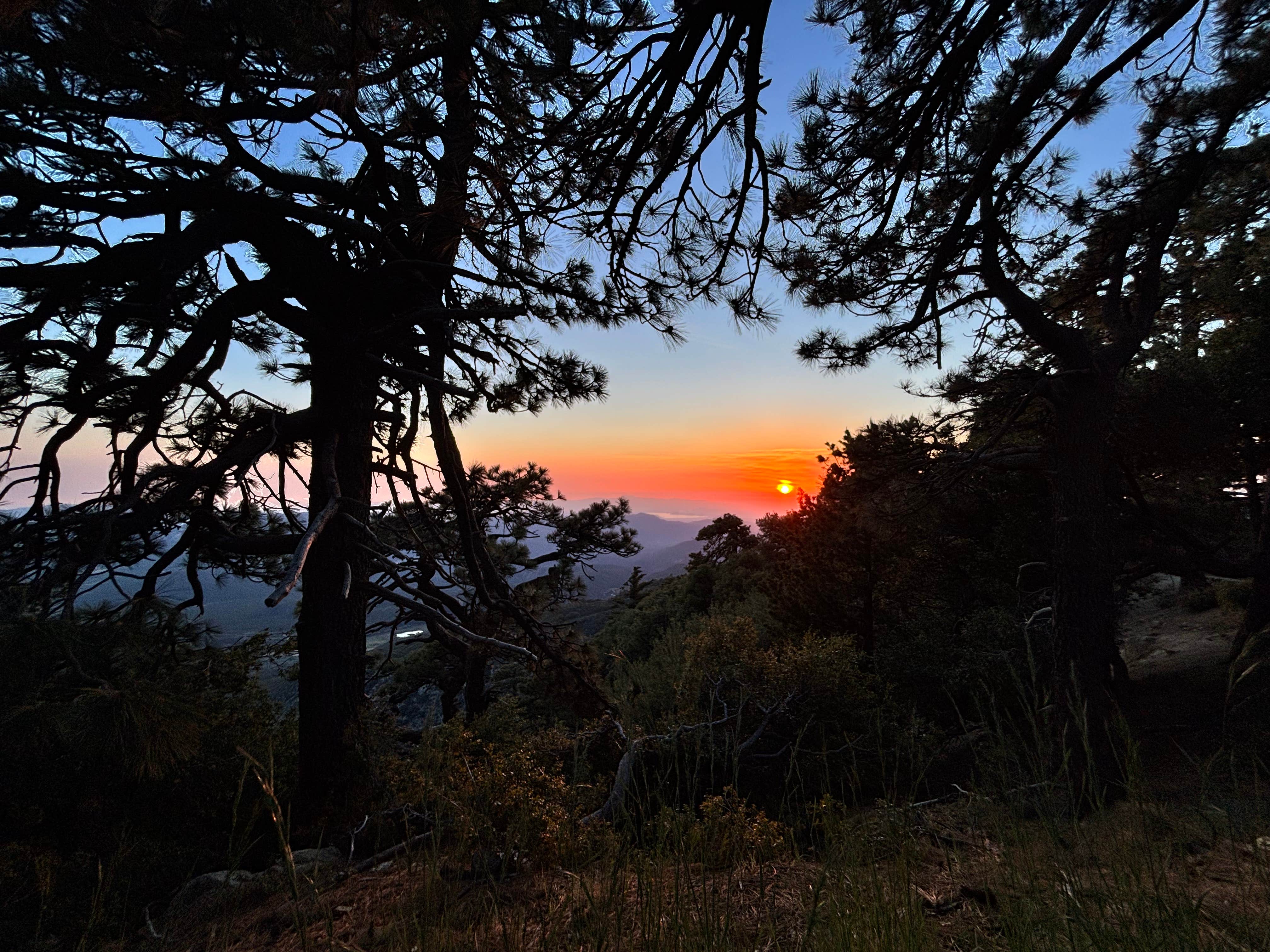 Camper-submitted photo at Little Thomas Dispersed near Pauma Valley, CA