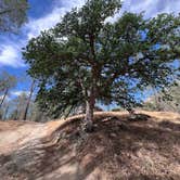 Review photo of Live Oak South — Sequoia National Forest by Tyler D., May 5, 2025