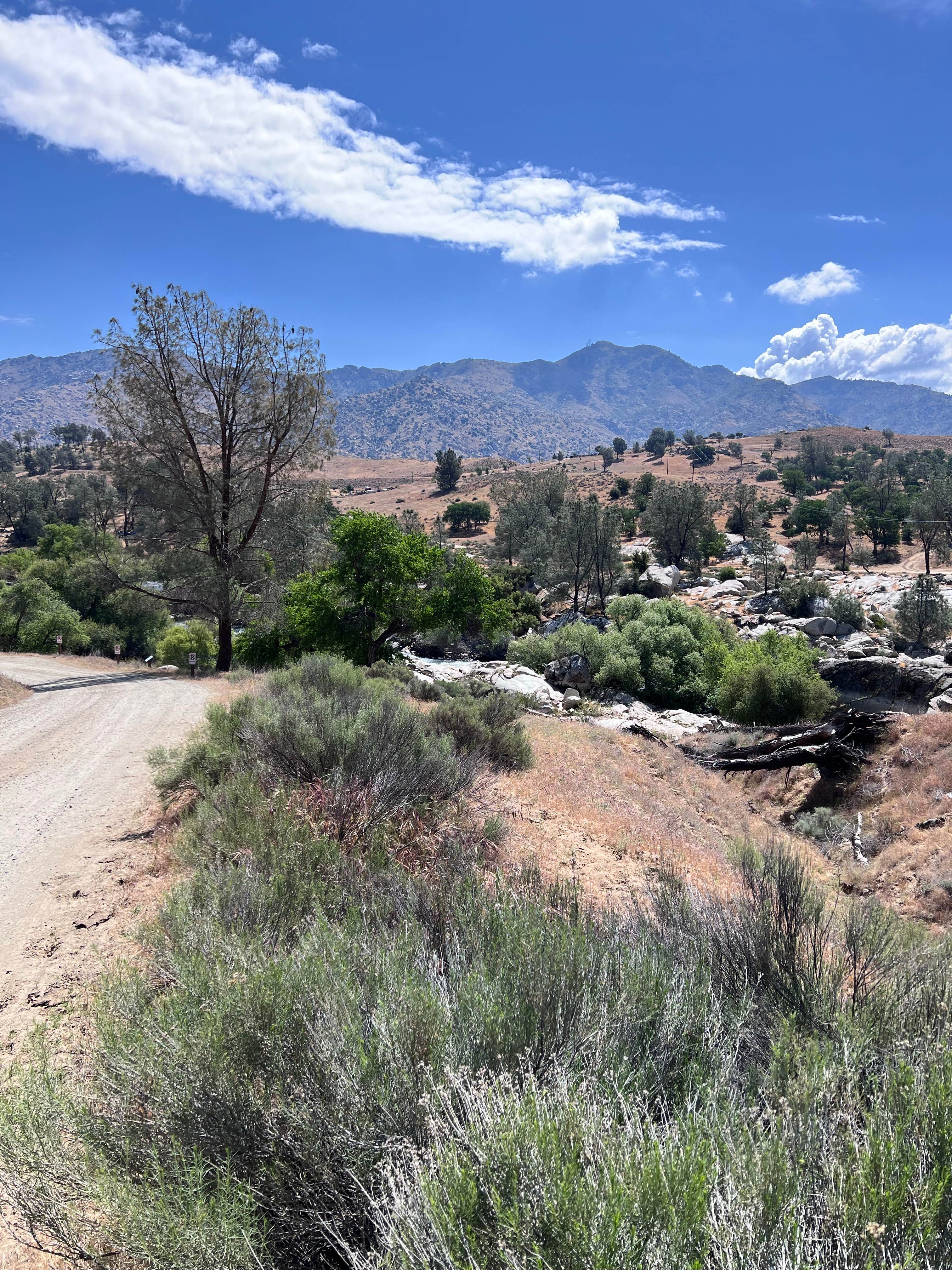 Camper submitted image from Live Oak South — Sequoia National Forest - 5