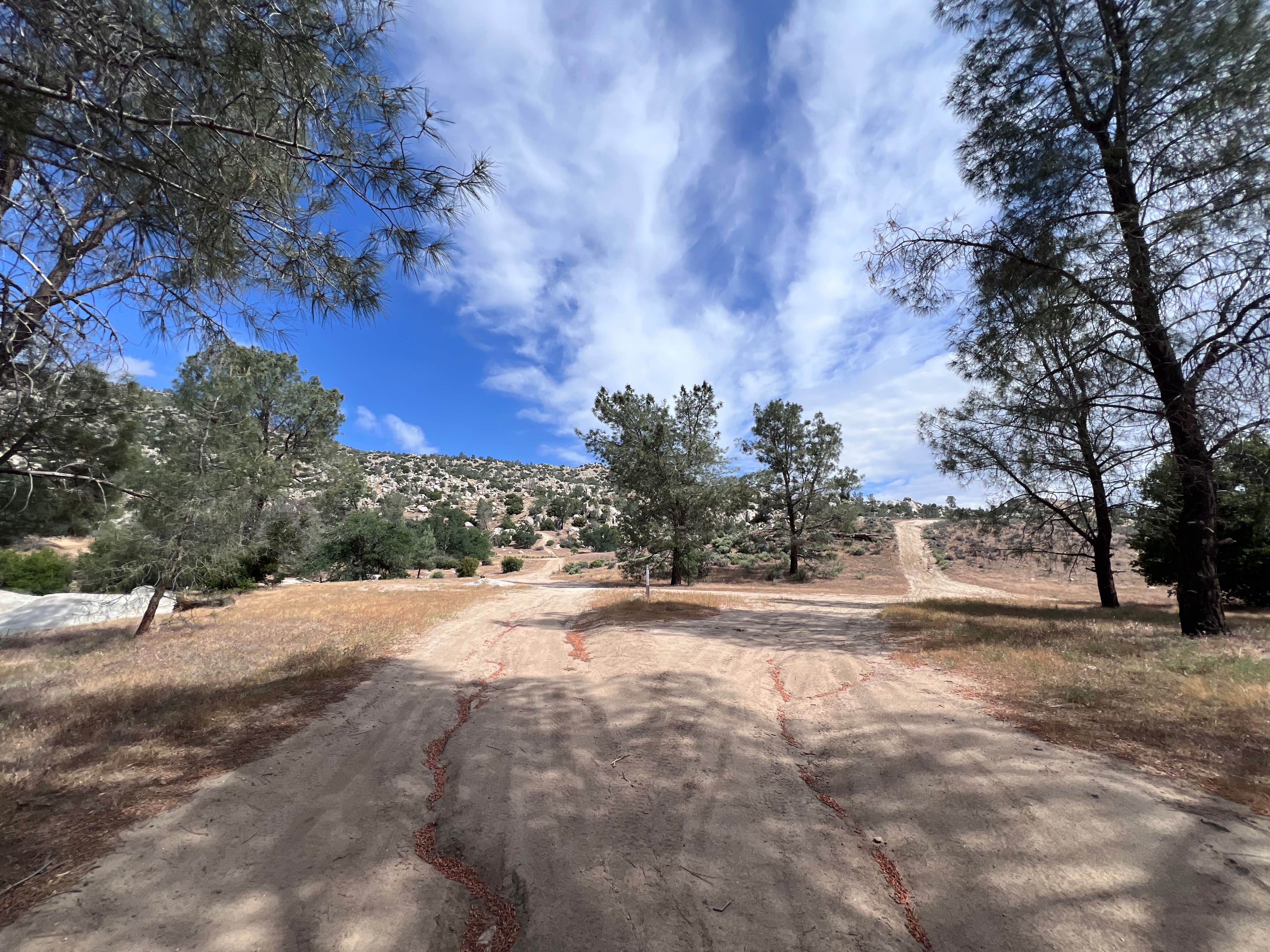 Camper submitted image from Live Oak South — Sequoia National Forest - 4