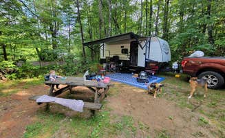 Brian R.'s photo of camping with pets at Twin Mountain Campground near White Mountain National Forest