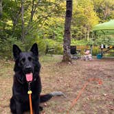 Review photo of Twin Mountain Campground by Jen P., August 16, 2026