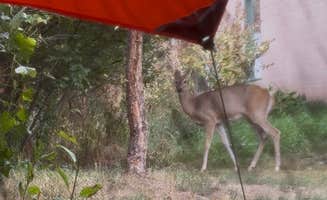 Abigail L.'s photo at Livingston/Paradise Valley KOA Holiday near Livingston, MT