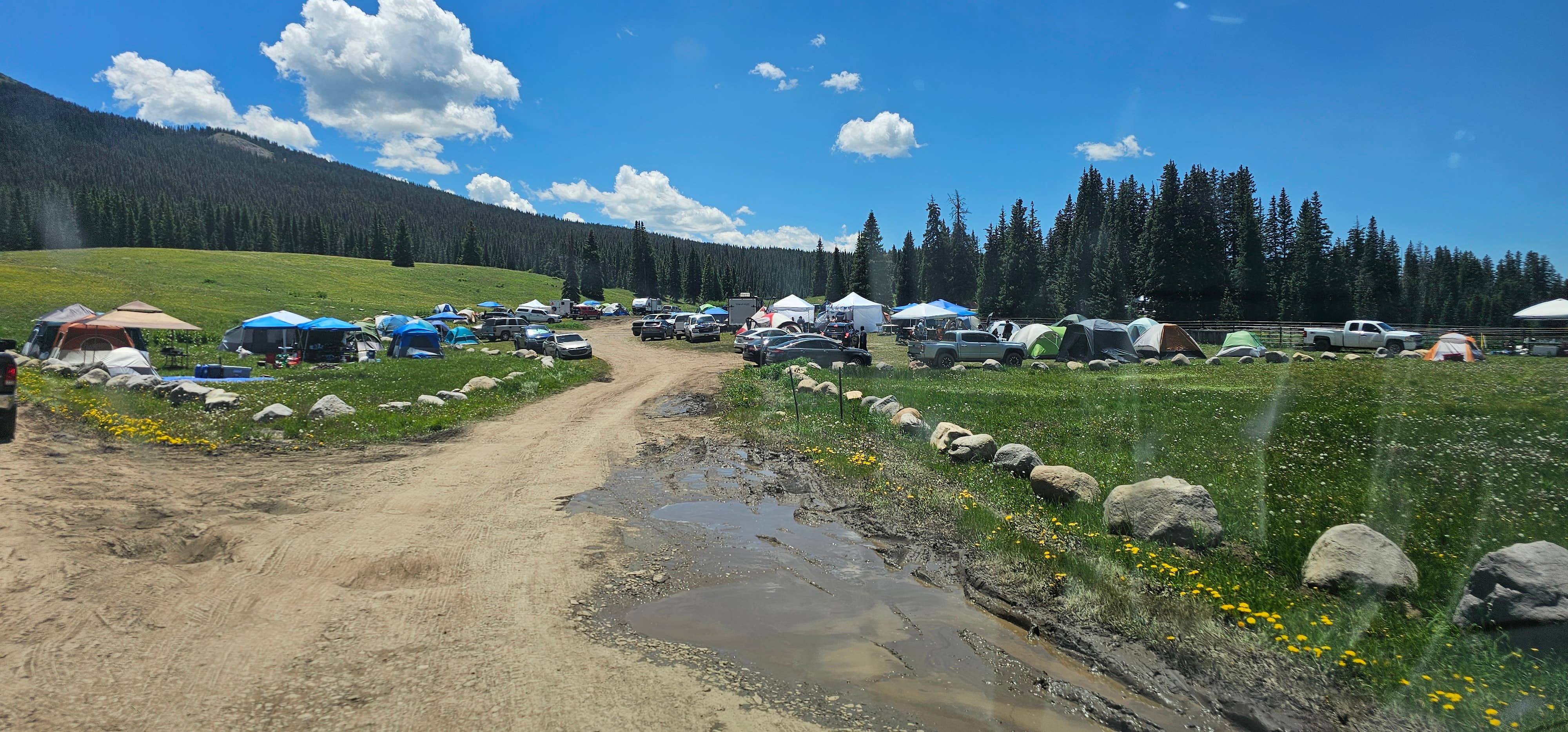 Camper-submitted photo at Lizard Head Pass Dispersed Camping near Rico, CO