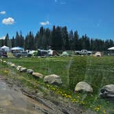 Review photo of Lizard Head Pass Dispersed Camping by johny R., July 5, 2025