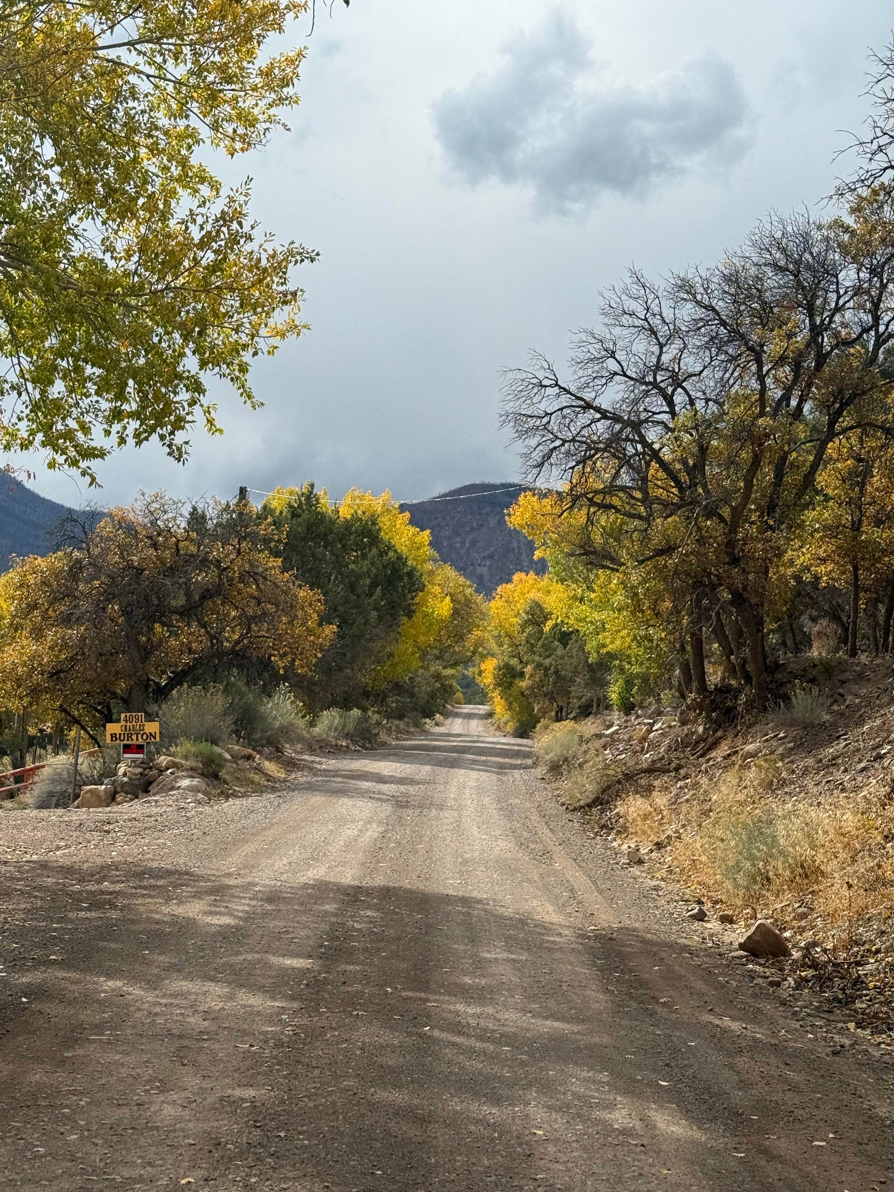 Camper submitted image from Lizzie & Charlies RV-ATV Park - 2