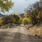 Review photo of Lizzie & Charlies RV-ATV Park by Iris V., October 10, 2025