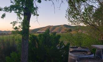 Camping near Vines RV Resort, A Sun RV Resort: Locatelli Vineyards & Winery, San Miguel, California