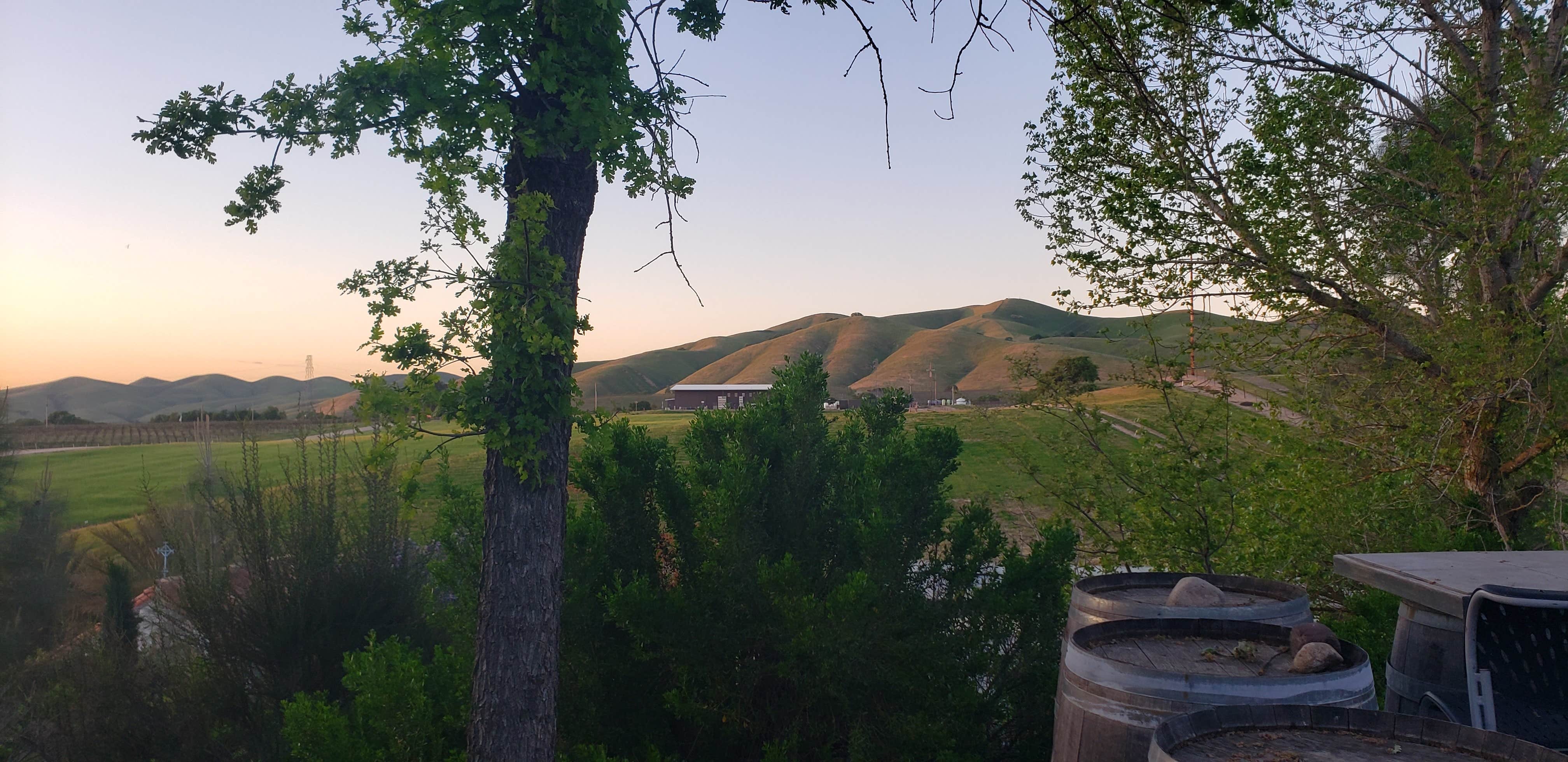 Camper submitted image from Locatelli Vineyards & Winery - 1