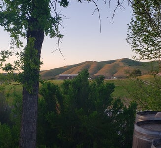 Camper-submitted photo from Locatelli Vineyards & Winery