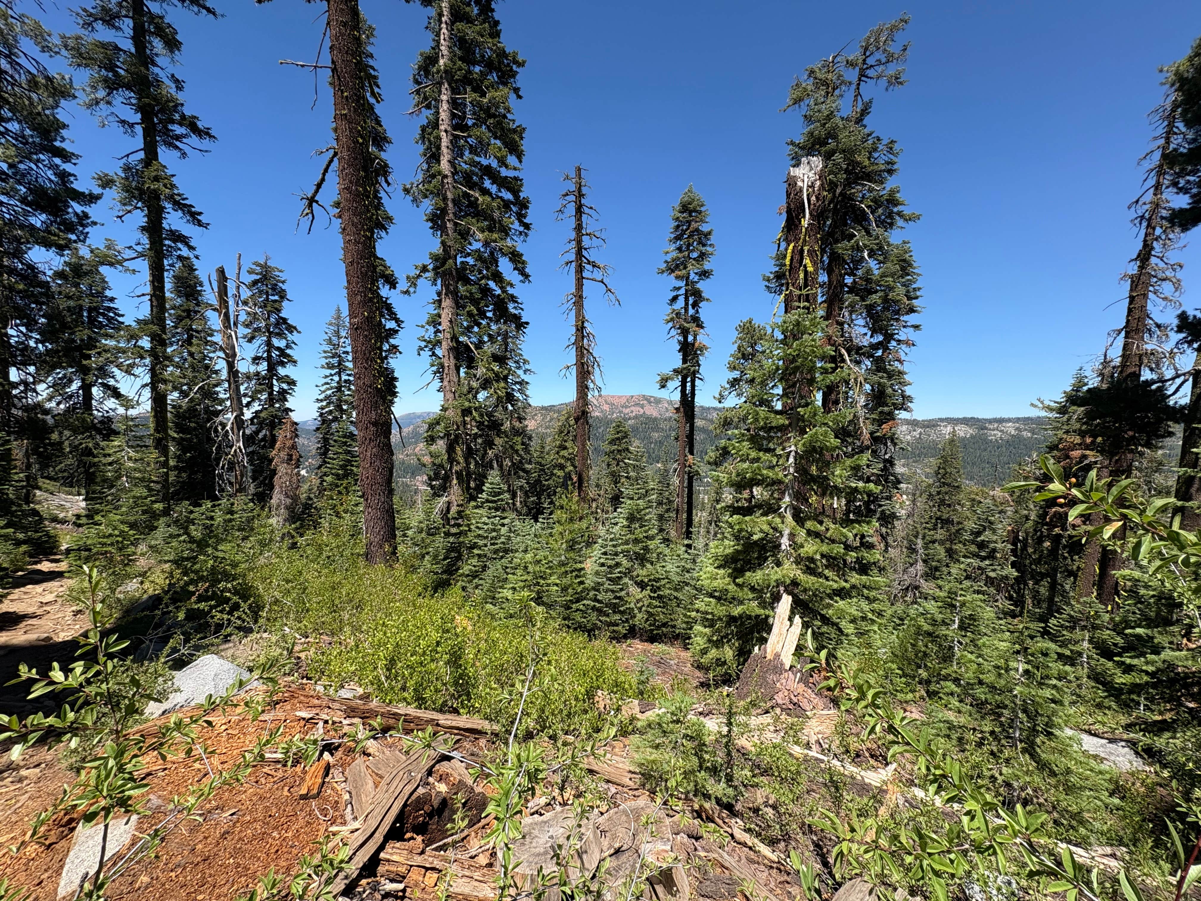 Camper-submitted photo at Loch Leven Lakes near Colfax, CA