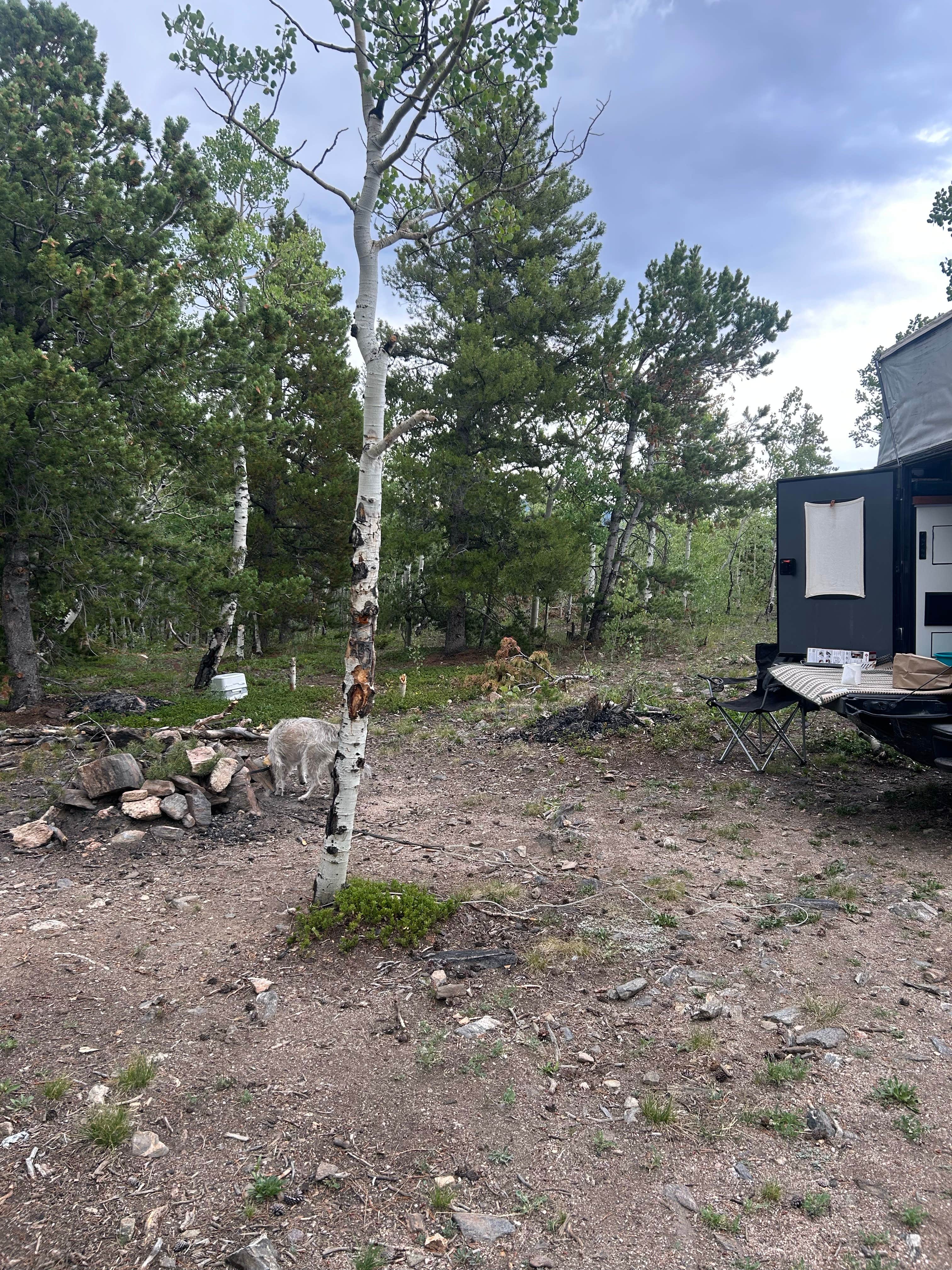 Heather P.'s photo at Loch Lomond Dispersed near Georgetown, CO