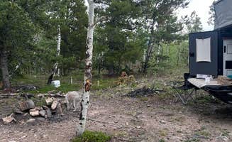 Heather P.'s photo at Loch Lomond Dispersed near Dumont, CO