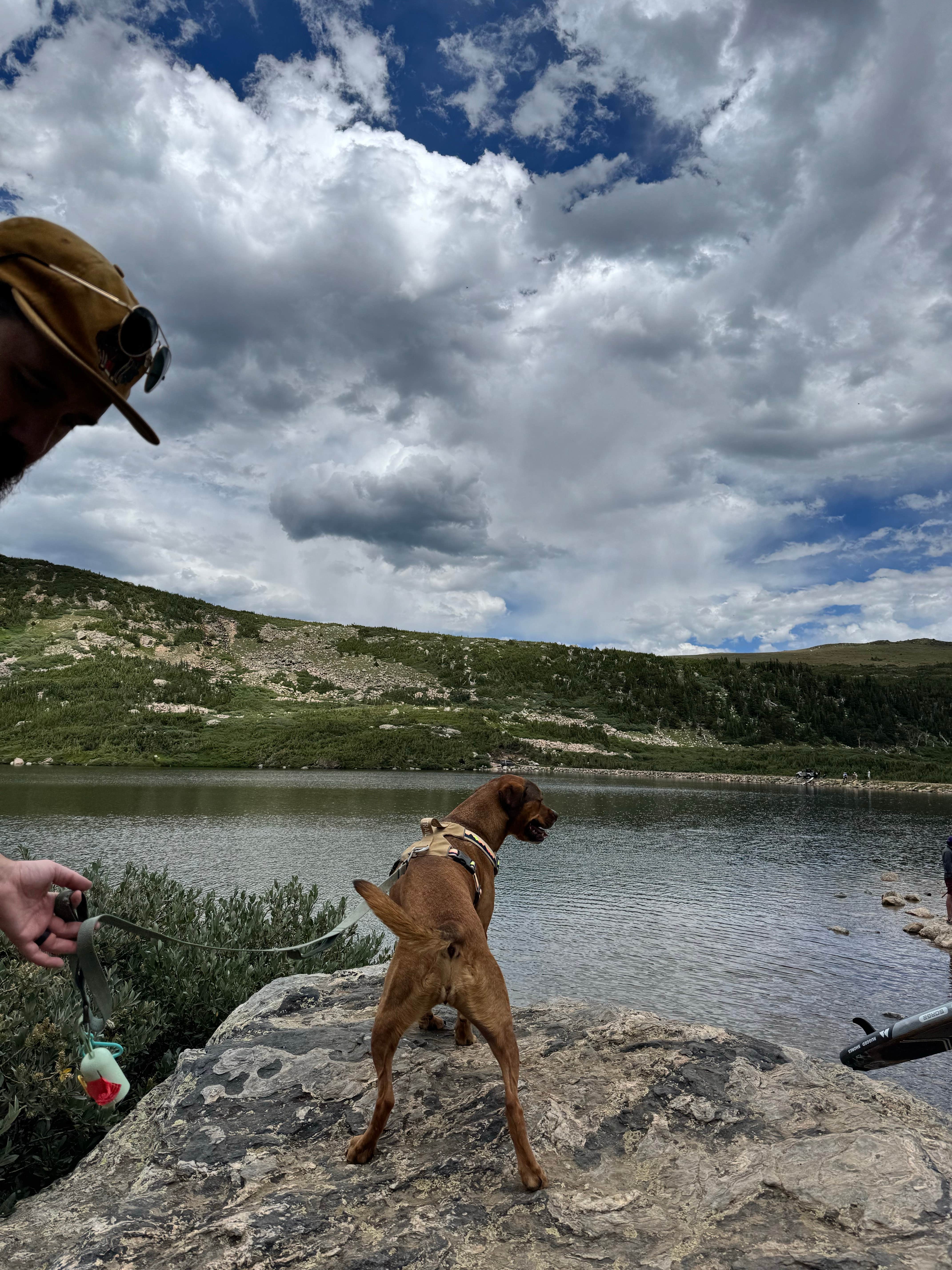 Lauren N.'s photo of camping with pets at Loch Lomond Dispersed near Empire, CO