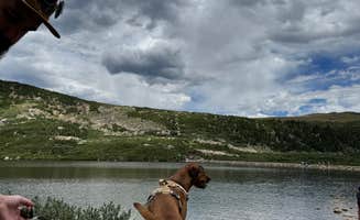 Lauren N.'s photo of camping with pets at Loch Lomond Dispersed near Georgetown, CO