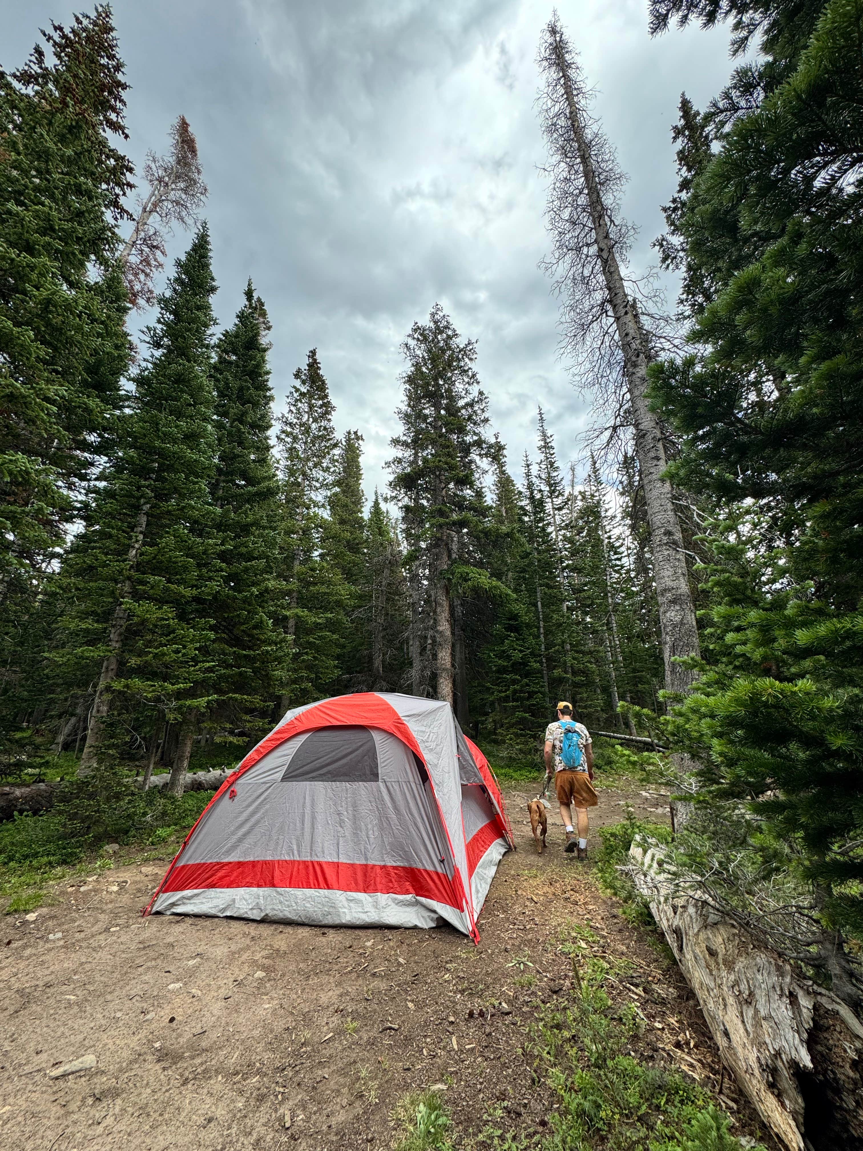 Lauren N.'s photo of a dispersed camping area at Loch Lomond Dispersed near Black Hawk, CO