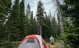 Lauren N.'s photo at Loch Lomond Dispersed near Dumont, CO