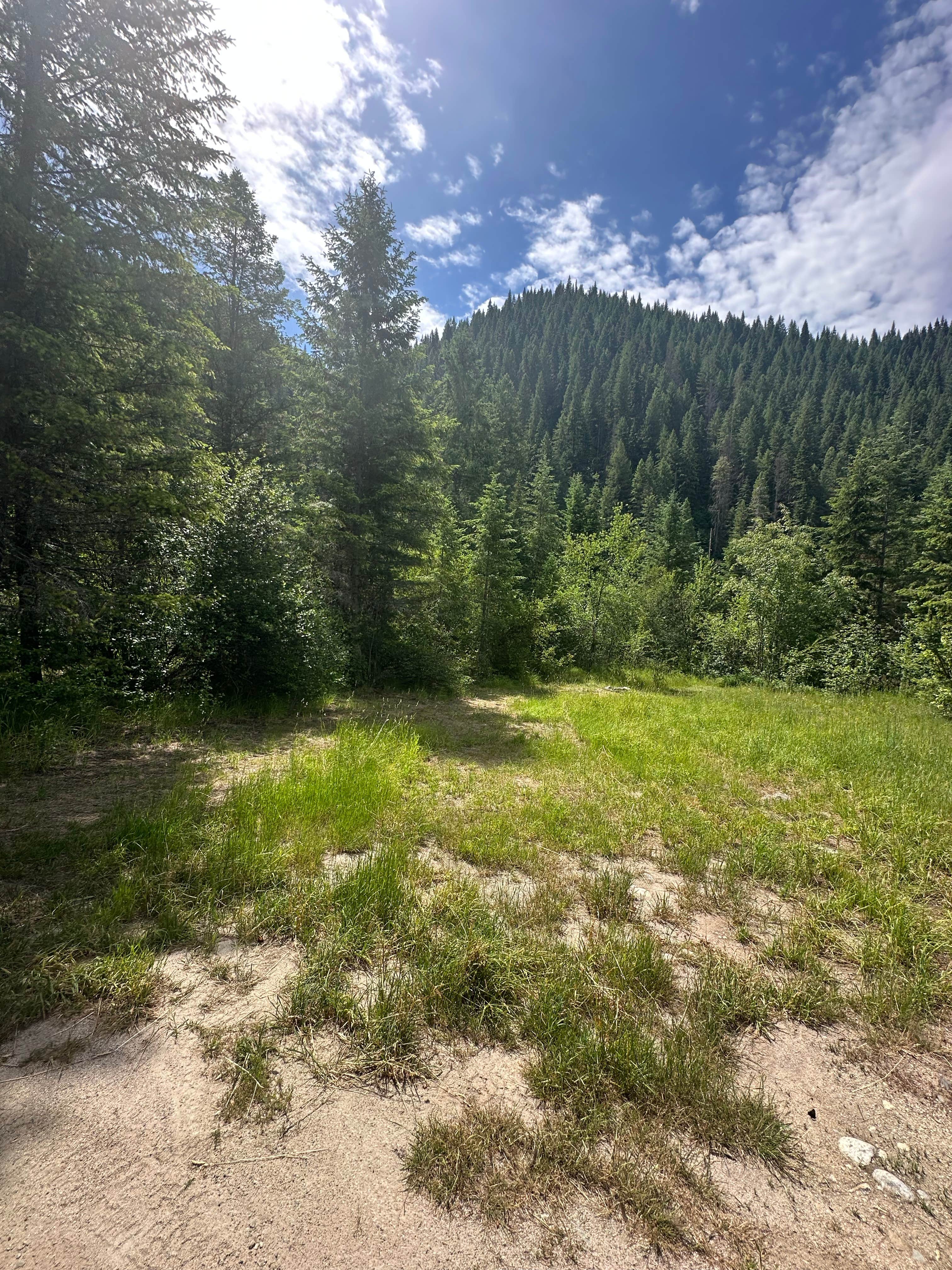 Lochsa River ID12