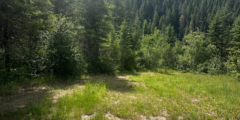 Camper submitted image from Lochsa River ID12