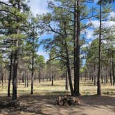Review photo of Lockett Meadow Dispersed Camping by Van UT G., May 26, 2025