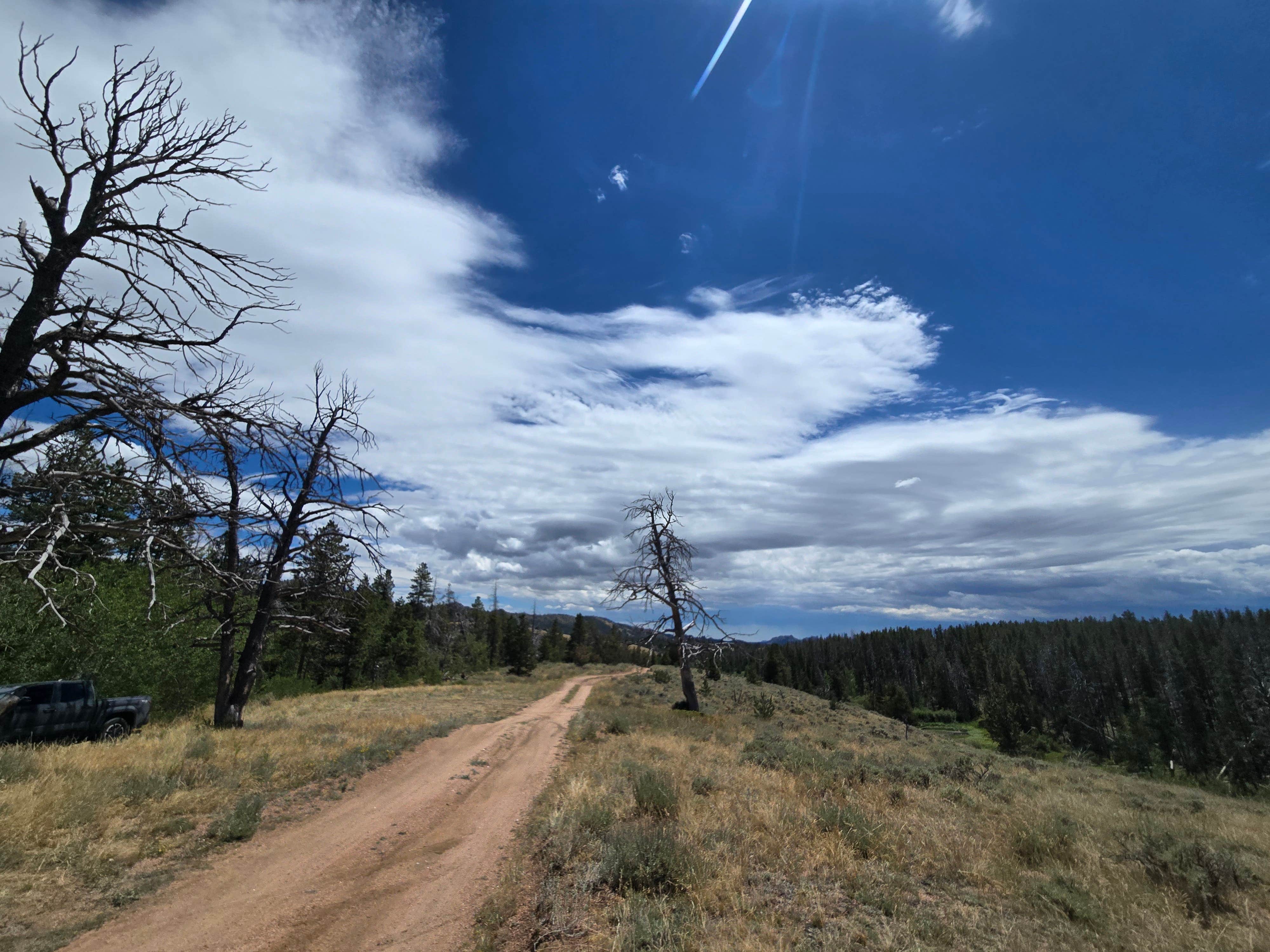 Camper-submitted photo at Lodge Pole Dispersed Campsite near Cheyenne, WY