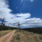 Review photo of Lodge Pole Dispersed Campsite by Steve M., July 28, 2026