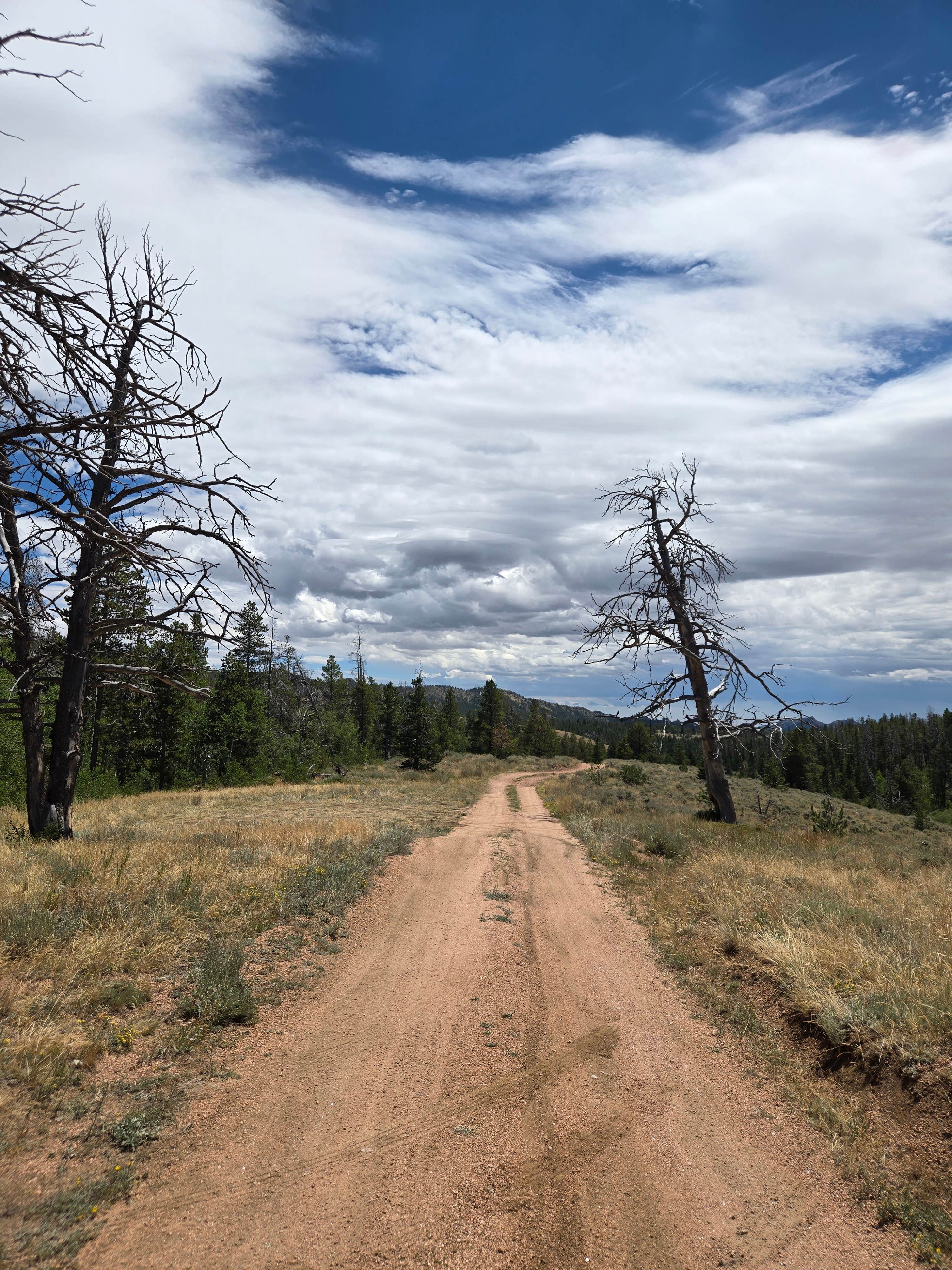 Camper-submitted photo at Lodge Pole Dispersed Campsite near Cheyenne, WY