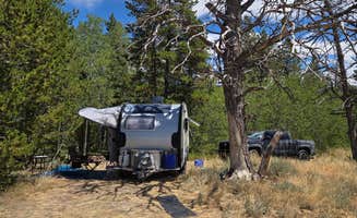 Steve M.'s photo of a dispersed camping area at Lodge Pole Dispersed Campsite near Laramie, WY