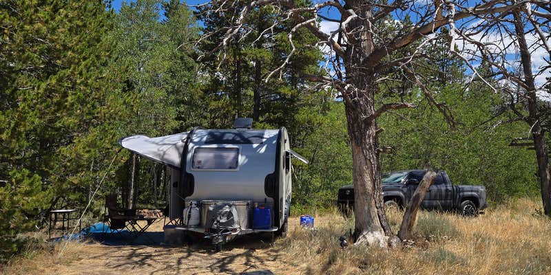 Camper submitted image from Lodge Pole Dispersed Campsite