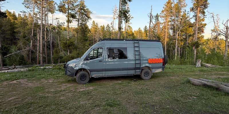 Camper submitted image from Lodge Pole Dispersed Campsite